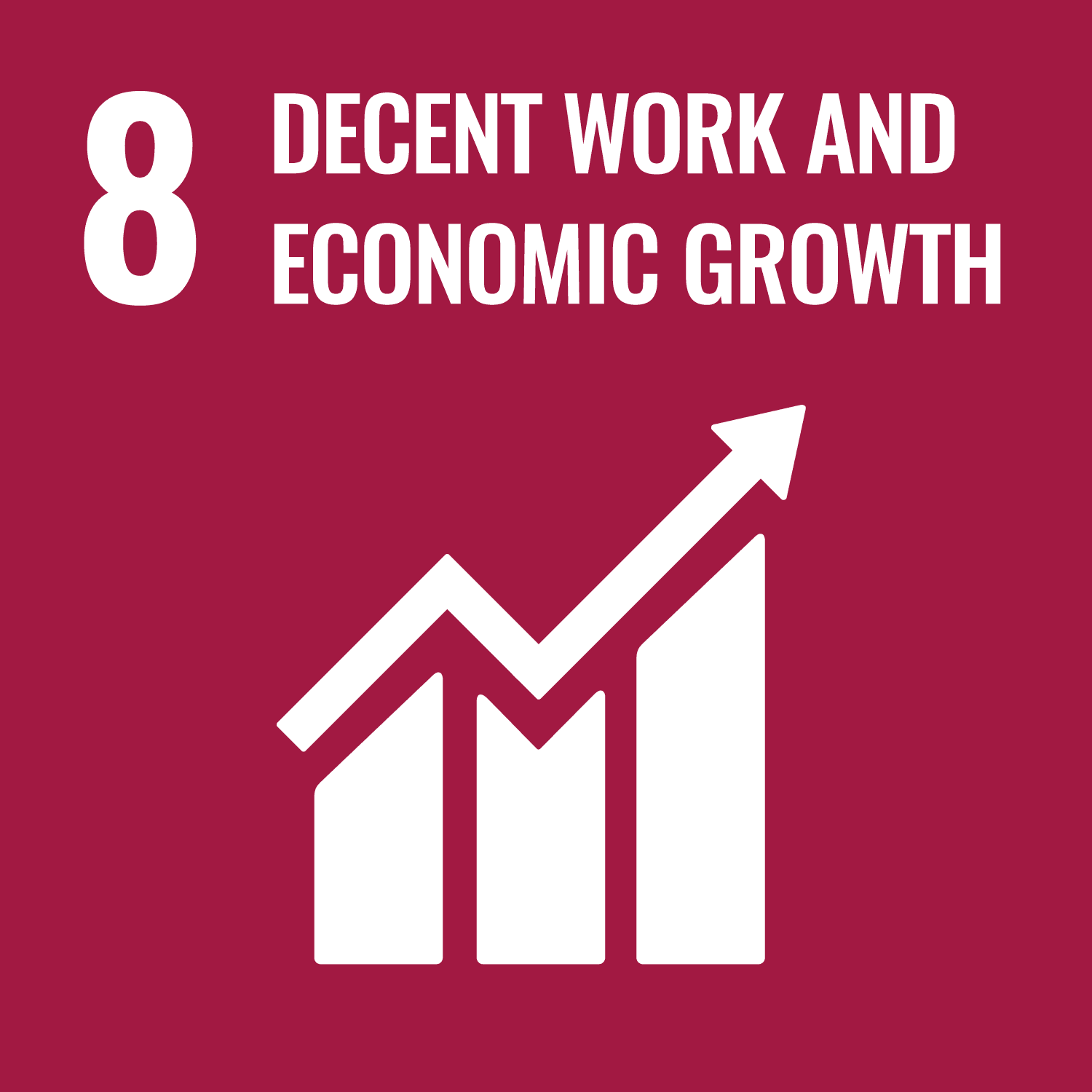 SDG 8 - Decent Work and Education Growth