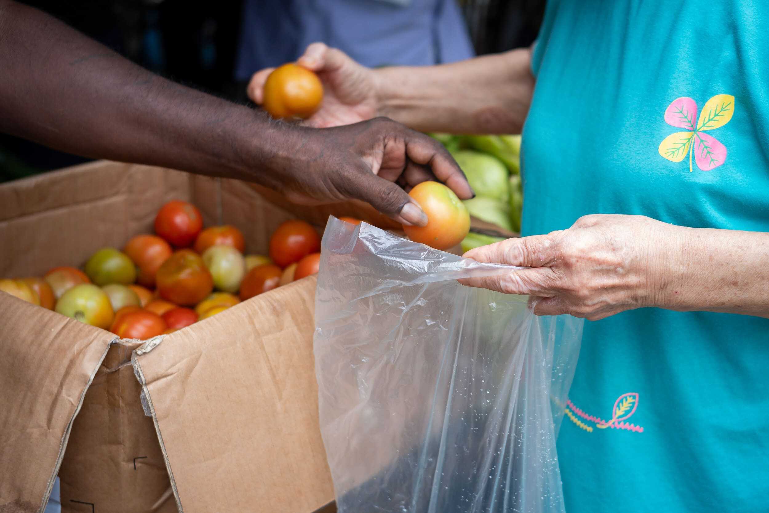 Sets of provision packs provided to registered families in need regularly